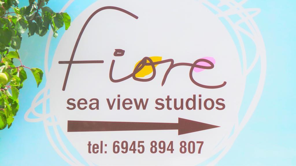 Fiore Hill Sea View Studios Vasilikí Buitenkant foto